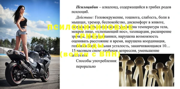 хмурый Алексеевка
