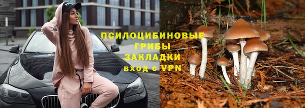 кристаллы Алзамай