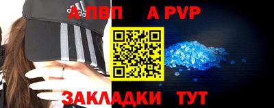 кокс Кингисепп