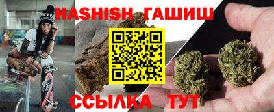 стаф Кинель