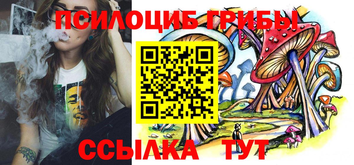 Псков  Псилоцибиновые грибы прущие грибы  Галлюциногенные грибы Psilocybe  Вход с VPN 